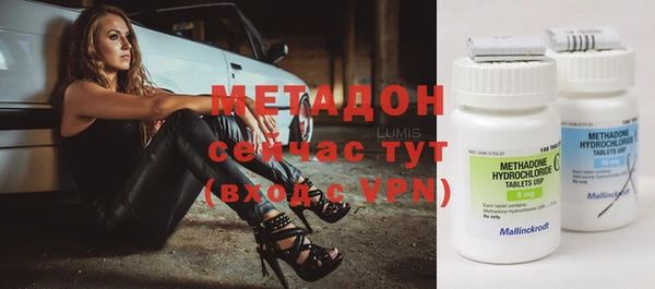 хмурый Болотное