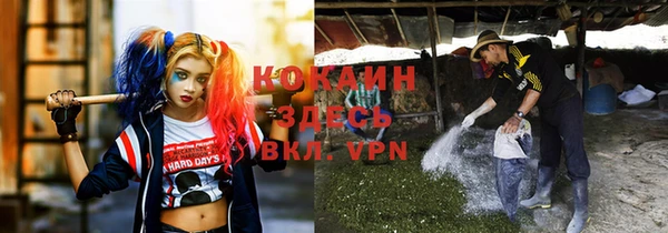 МДПВ Дмитровск